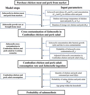 Quantitative risk assessment of salmonellosis in Cambodian consumers through chicken and pork salad consumption